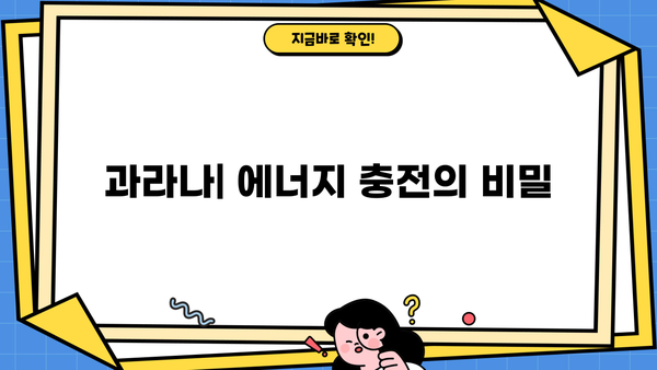 과라나 효능과 부작용, 꼼꼼하게 알아보세요! | 과라나,  카페인, 건강, 부작용, 주의사항