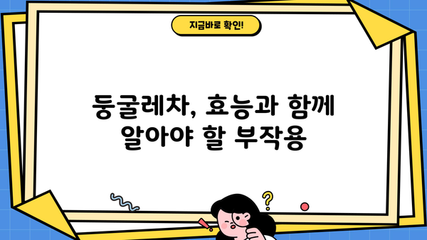 둥굴레차 효능과 부작용 완벽 정리 | 건강, 효능, 부작용, 주의사항