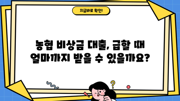 농협 비상금 대출| 딱 맞는 조건과 한도 알아보기 | 비상금, 대출, 금리, 신용대출, 긴급 자금