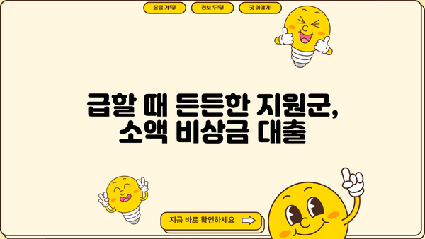 연체자도 가능! 소액 비상금 대출, 단기/장기 맞춤 안내 | 비상금 대출, 연체자 대출, 소액 대출, 단기 대출, 장기 대출