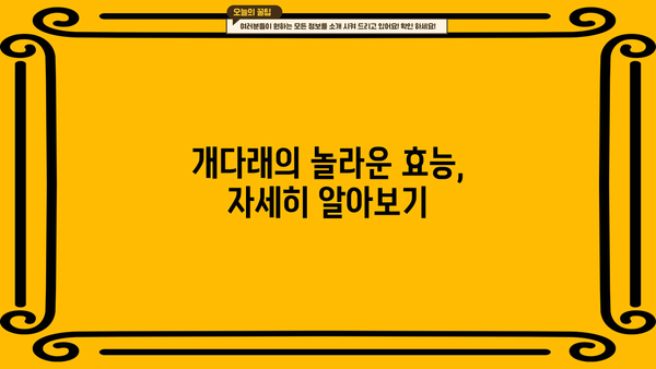 통풍 완화에 도움이 될까? 개다래 효능과 부작용, 꼼꼼히 알아보세요! | 통풍, 개다래, 효능, 부작용, 건강 정보
