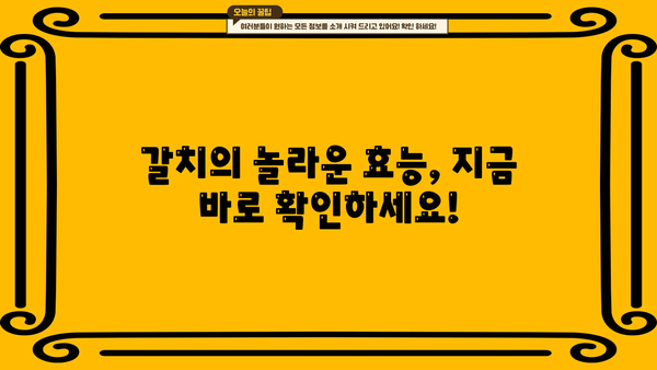 갈치의 놀라운 효능과 맛있는 요리 레시피, 영양성분까지 완벽 분석 | 갈치 효능, 갈치 요리, 영양성분, 레시피