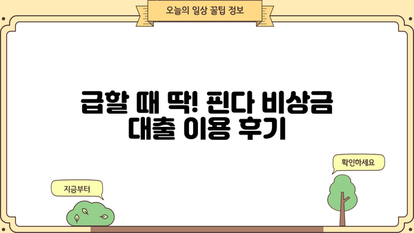 핀다 비상금 대출 후기| 믿을 수 있는 이용자 경험 공유 | 비상금, 소액대출, 후기, 핀다