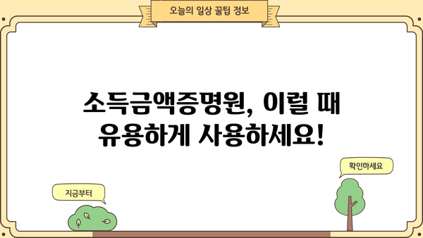 소득금액증명원 발급 & 소득금액 확인| 필요한 정보 한눈에 보기 | 소득금액증명원, 소득금액, 발급 방법, 확인 방법