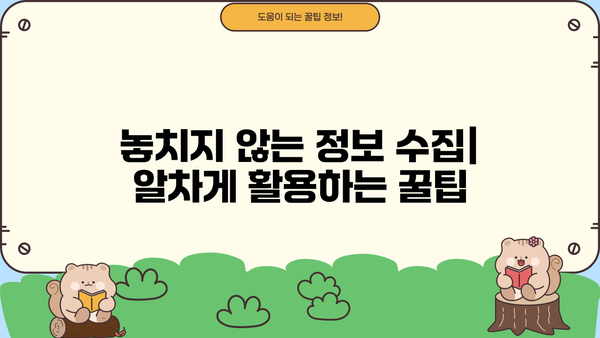 놓치면 손해! 알림 & 구독 정보 완벽 정복 가이드 | 알림 설정, 구독 관리, 정보 수집, 효율성 팁