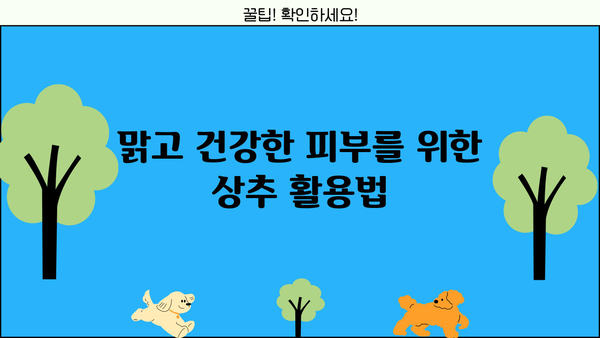 상추의 놀라운 효능 7가지 | 건강, 다이어트, 피부, 면역력, 영양
