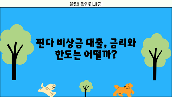 핀다 비상금 대출 후기| 믿을 수 있는 이용자 경험 공유 | 비상금, 소액대출, 후기, 핀다