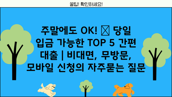 주말에도 OK! ? 당일 입금 가능한 TOP 5 간편 대출 | 비대면, 무방문, 모바일 신청
