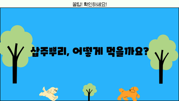 삽주뿌리 효능, 먹는 방법, 부작용 총정리 | 건강, 약초, 섭취 방법, 주의 사항