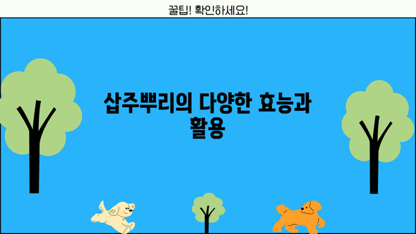 삽주뿌리 효능, 먹는 방법, 부작용 총정리 | 건강, 약초, 섭취 방법, 주의 사항