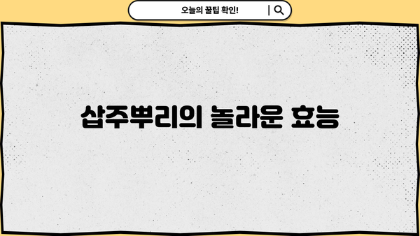 삽주뿌리 효능, 먹는 방법, 부작용 총정리 | 건강, 약초, 섭취 방법, 주의 사항