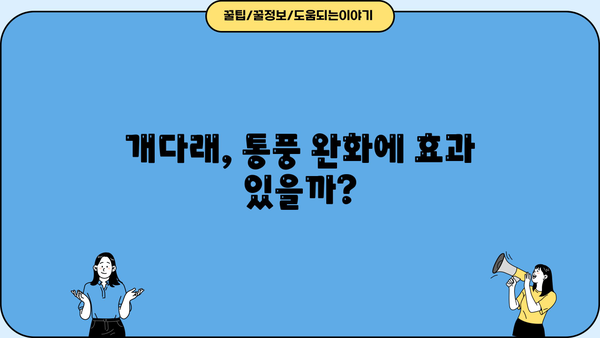통풍 완화에 도움이 될까? 개다래 효능과 부작용, 꼼꼼히 알아보세요! | 통풍, 개다래, 효능, 부작용, 건강 정보