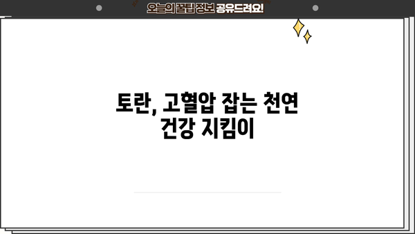 고혈압 예방에 효과적인 토란, 놀라운 효능과 주의해야 할 부작용까지 | 건강, 채소, 고혈압, 토란 효능, 토란 부작용