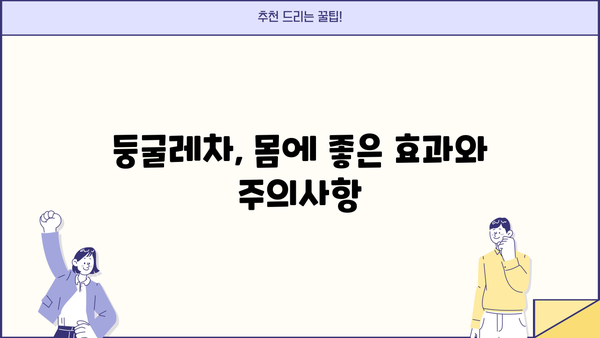 둥굴레차 효능과 부작용 완벽 정리 | 건강, 효능, 부작용, 주의사항