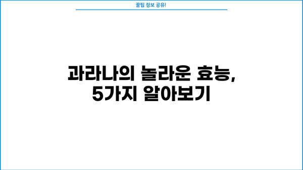 과라나 효능과 부작용, 꼼꼼하게 알아보세요! | 과라나,  카페인, 건강, 부작용, 주의사항